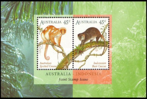 Australia 1996 - Fauna, cuscus, colita neuzata